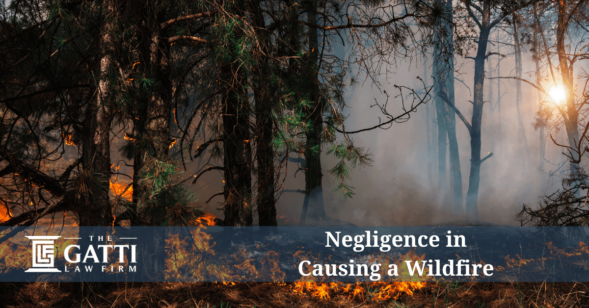 Negligence in Causing a Wildfire