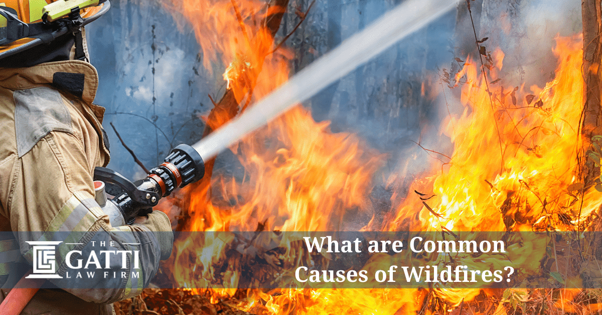 What are Common Causes of Wildfires?