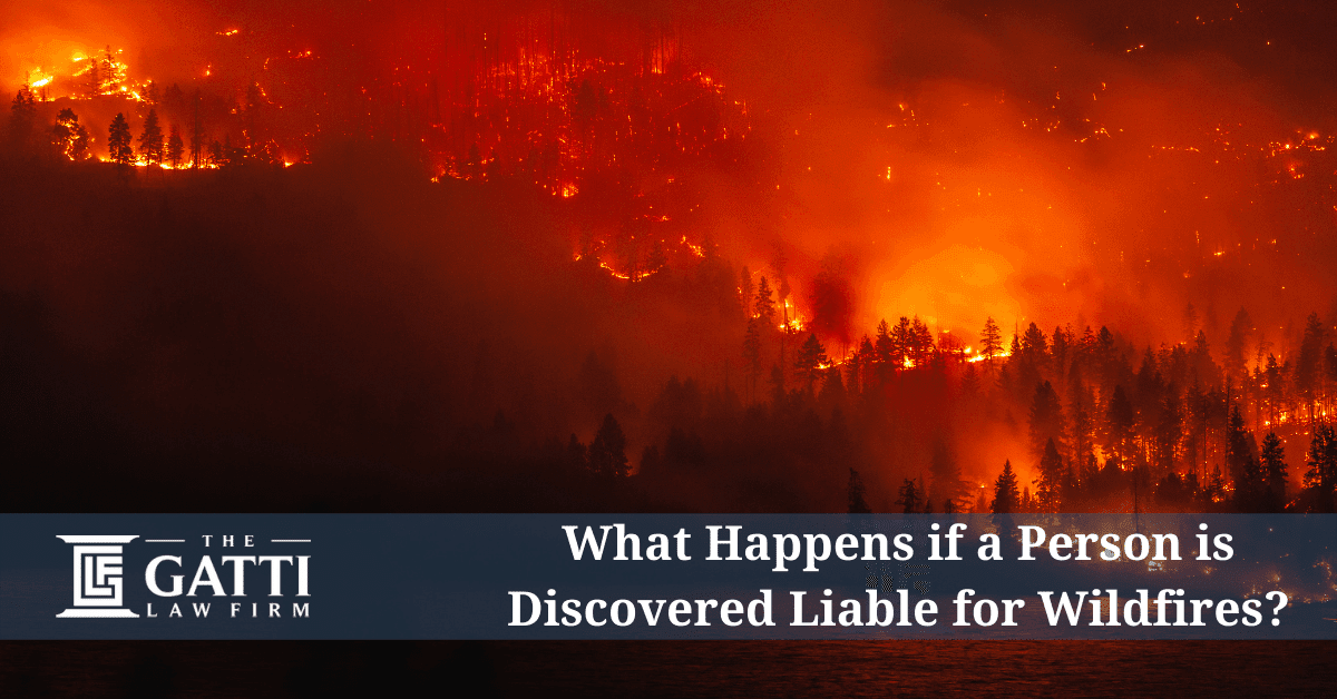What Happens if a Person is Discovered Liable for Wildfires?